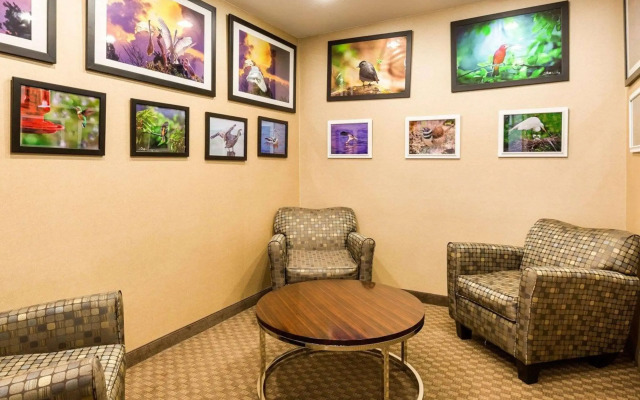 Comfort Inn And Suites Winnie