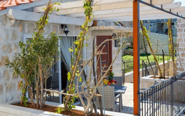 Olive Resort