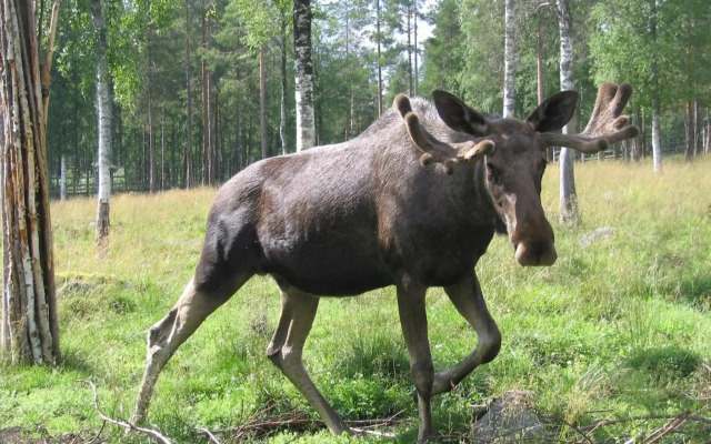 Riverside Apartment Rovaniemi