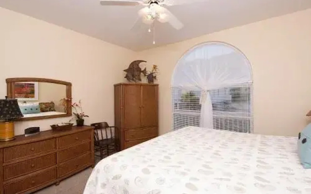 Shellchase by RedAwning