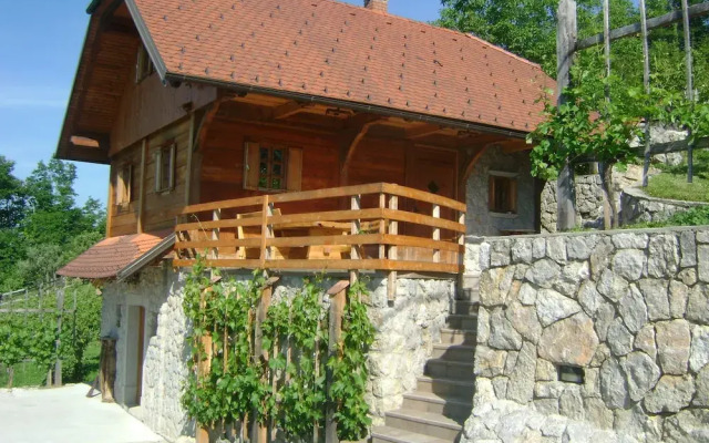 Vineyard cottage Med vinogradi