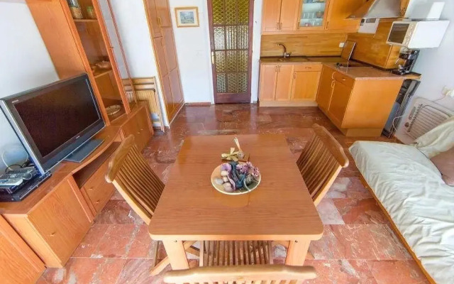 Palmeras 5.2