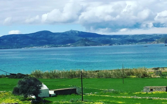 Depis bay apartments