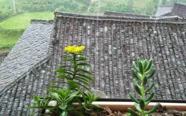 Xinjiayuan Hotel