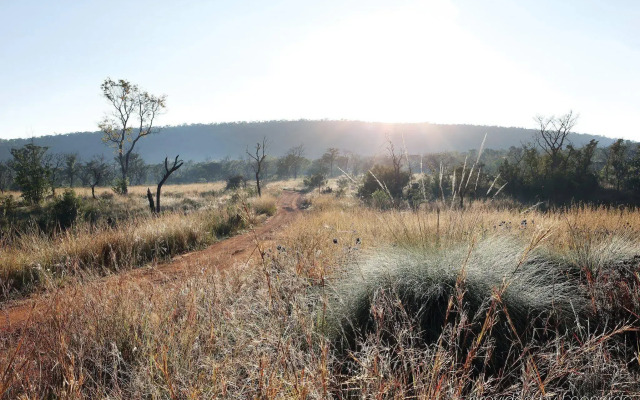 Zulu Camp at Shambala Private Game Reserve