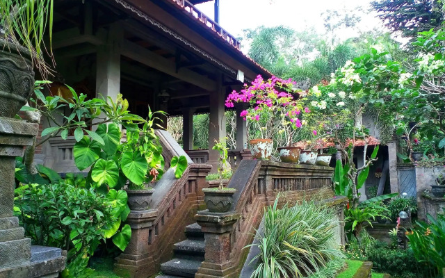 Artini 2 Cottages