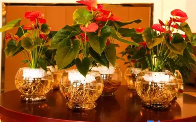 Yongli Hotel
