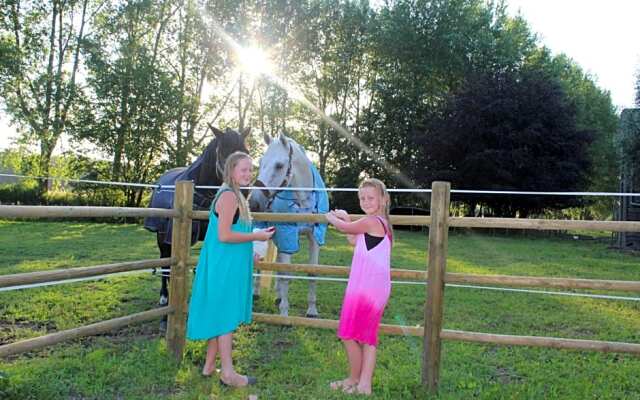 B&B Hoeve Westdijk