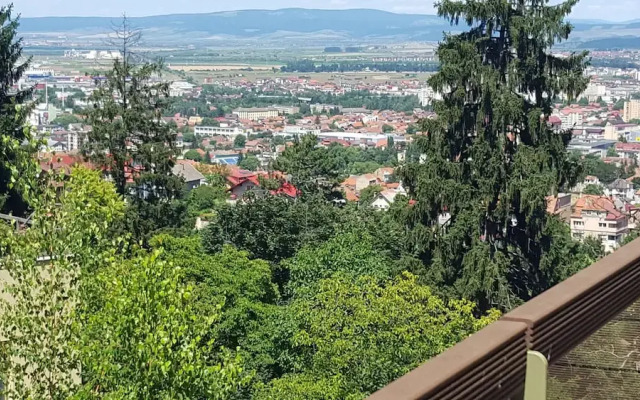 Bellevue Apartment Brasov