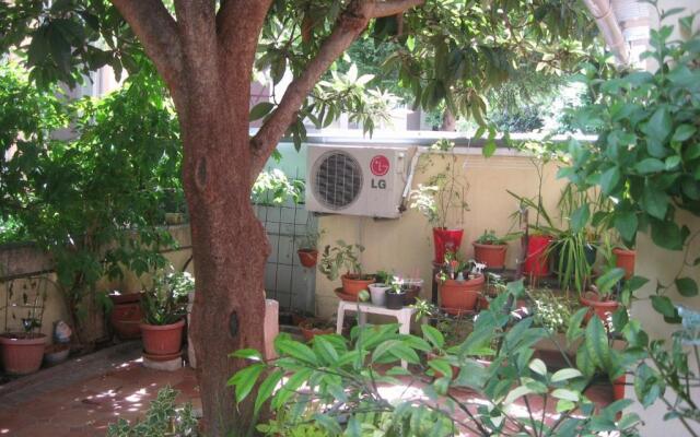 Studio Antonio