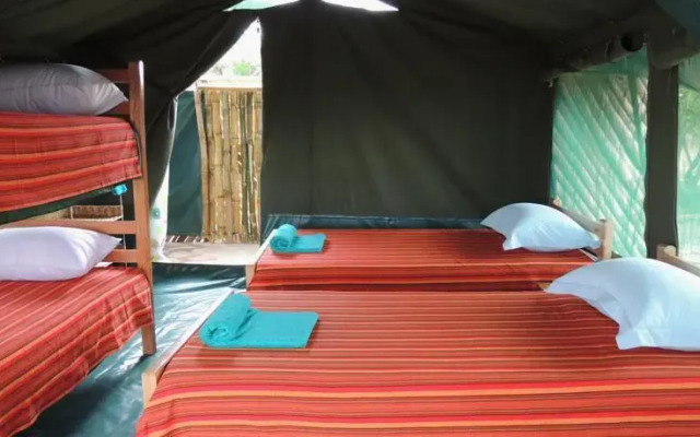 Mara Explorers Camp & Backpackers