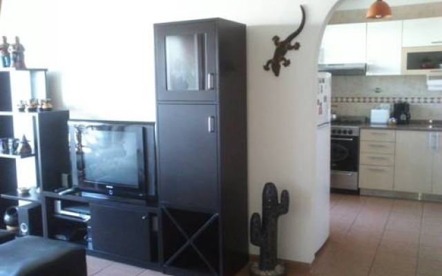 Urban Mexican Apartment