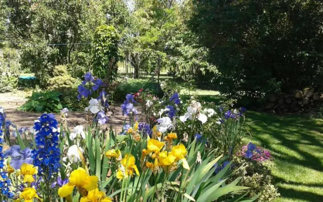 Gîte Bouquet de vie