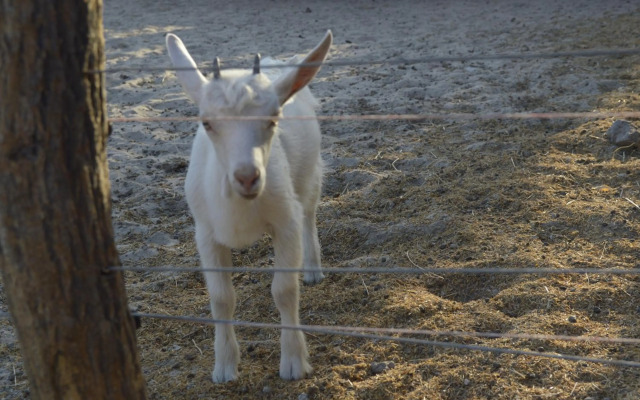 Pousada Sitio Parque dos Lençóis