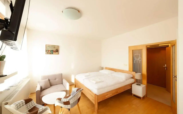 Vitkov Park Apartment