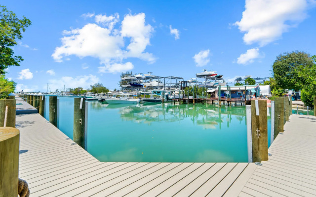 Paradise Point Pool Dock Lounges BBQ