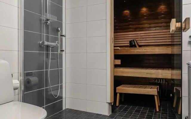 Levin Revontulitaivas d Kittil