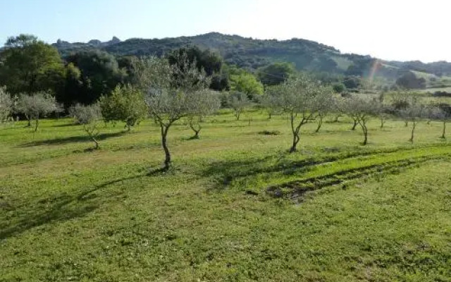 Sole E Terra