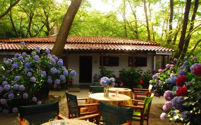 Tasoula Parselia Studios