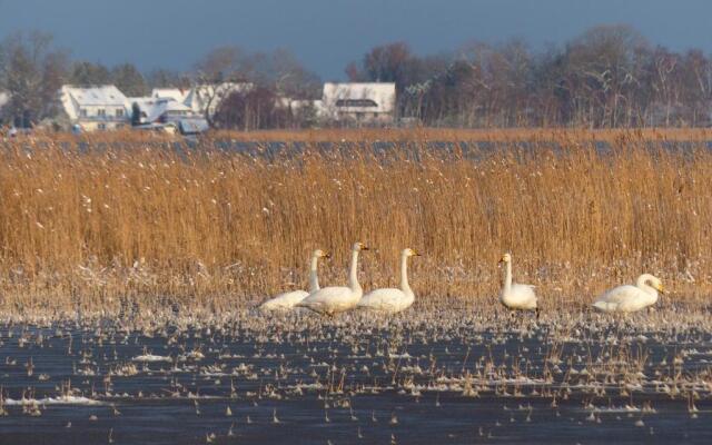 Ferienwohnungen Jagdhaus 6