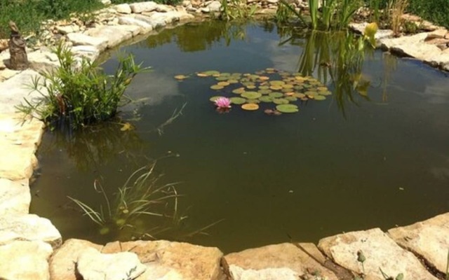 Chambres d'Hotes La Mazraa