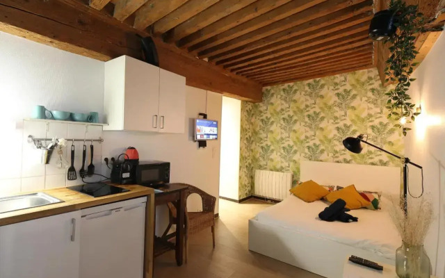Charming Studio Centre Ville De Lyon