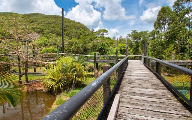 Daintree Wild Zoo & B&B