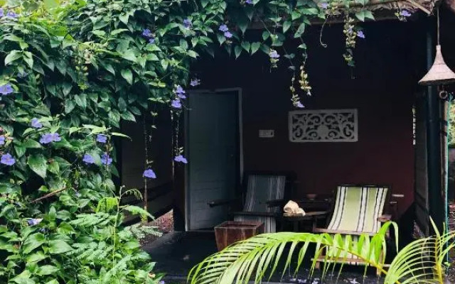 The cliff cottage varkala