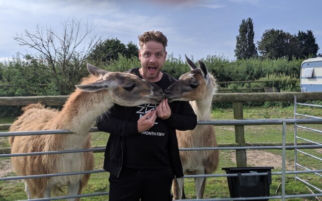 Glamping With Llamas