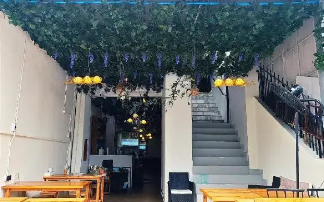 Panda Hostel