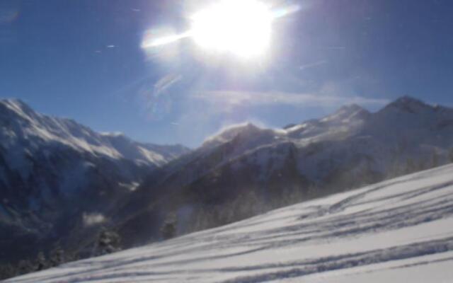 Hölzlbauer Anni Bachmair