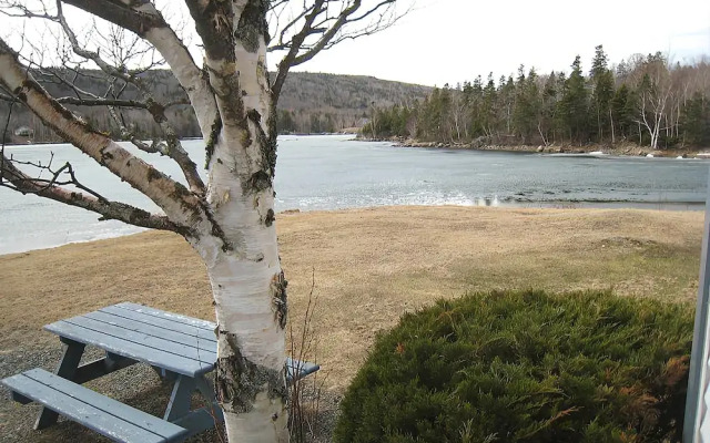 The Cove
