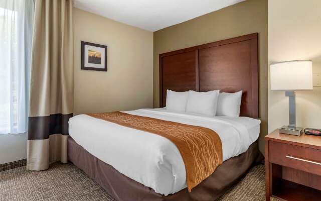 Comfort Inn Charlotte Airport Uptown