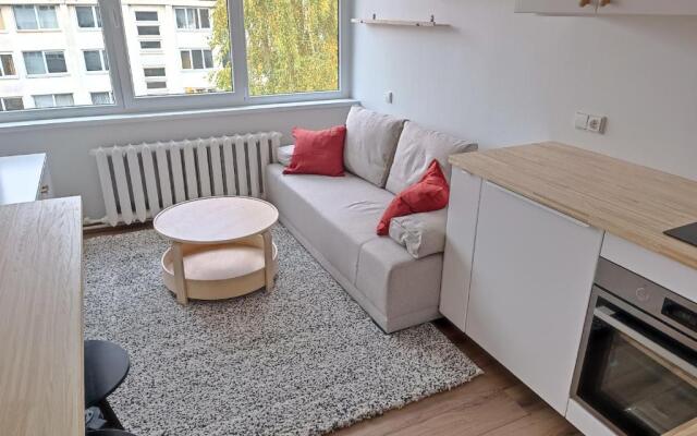 Stylish Studio in Central Vilnius