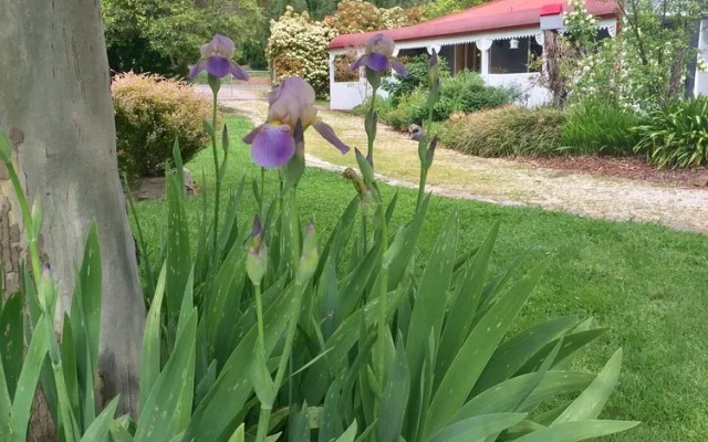 Plantation Hill Homestead