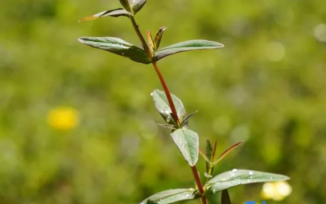 Sheepfold Bed & Breakfast