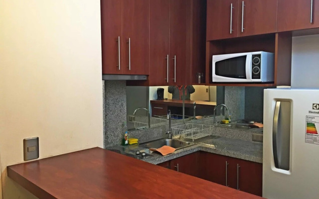 Studio Suite Manquehue