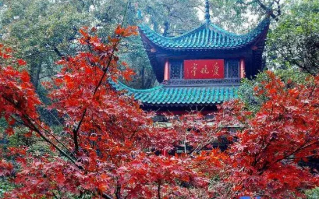 Rezen Hotel of YueLu ChangSha