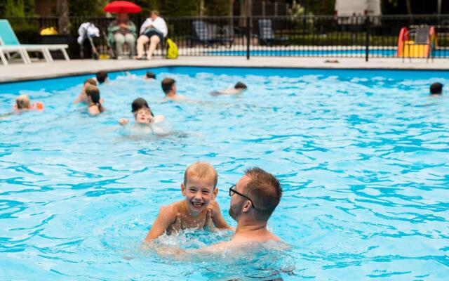 Comfortable chalet with outdoor sauna, near De Veluwe