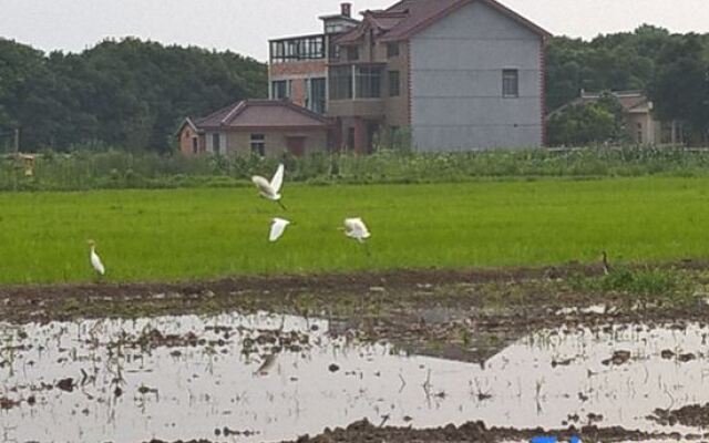 Manxiangju Hostel