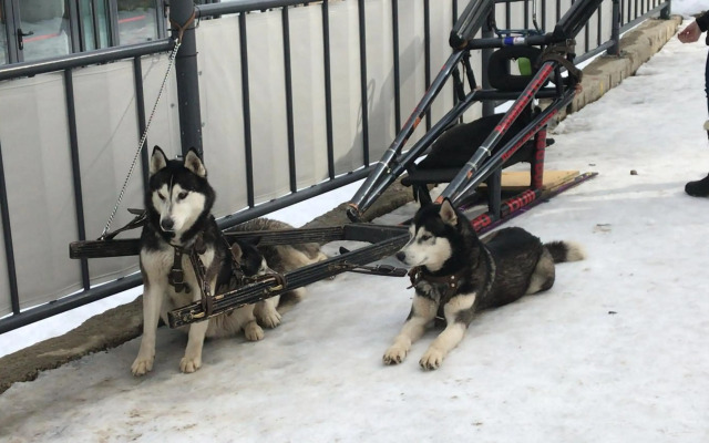 Flora Ski-slope Studio Apartment