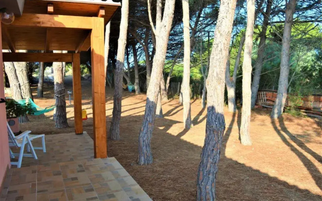 Pineta Spiaggia Grande 2