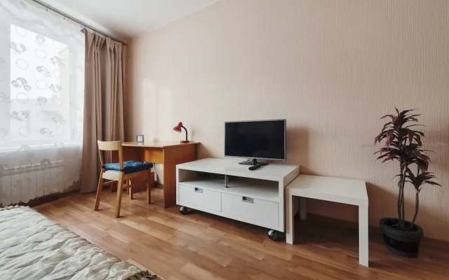 Apartment ALLiS-HALL on Radishcheva 33