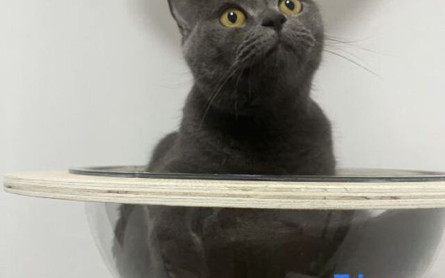 Xiaomi Apartment (Xiamen Gaoqi Airport)