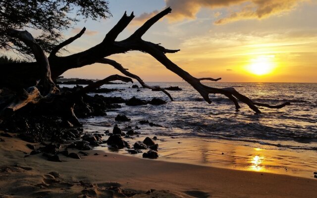 Volcano Dancing Ferns Main House home