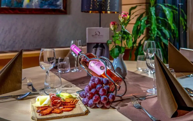 Dráva Hotel Thermal Resort