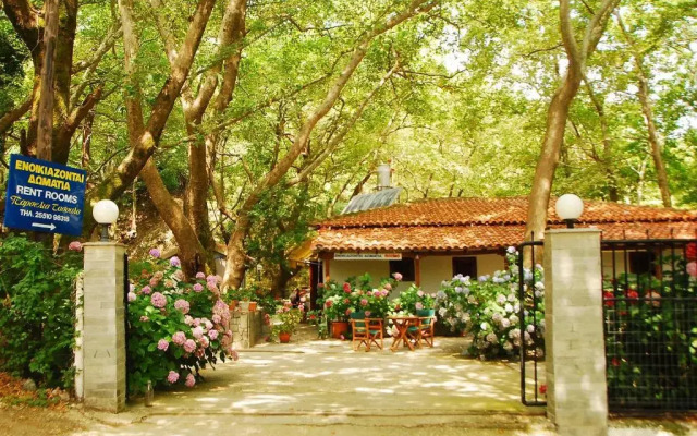 Tasoula Parselia Studios