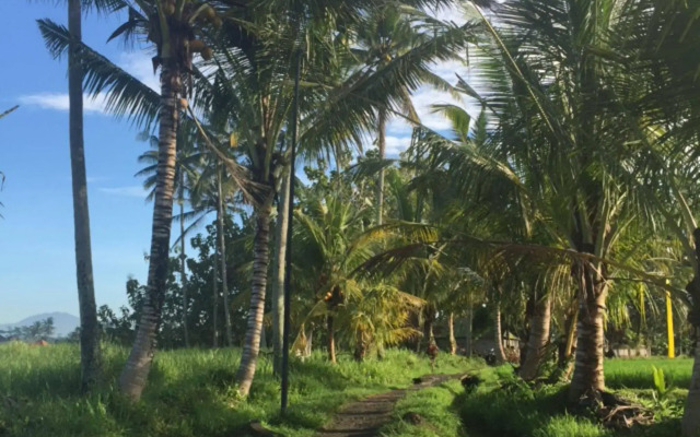 Bisma Cottages Ubud