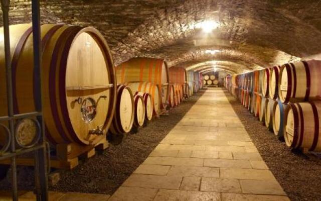 Chateau de Chassagne-Montrachet