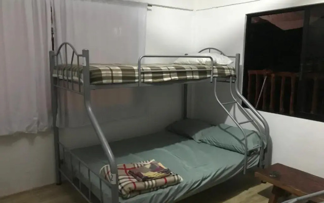 Hostel Lions